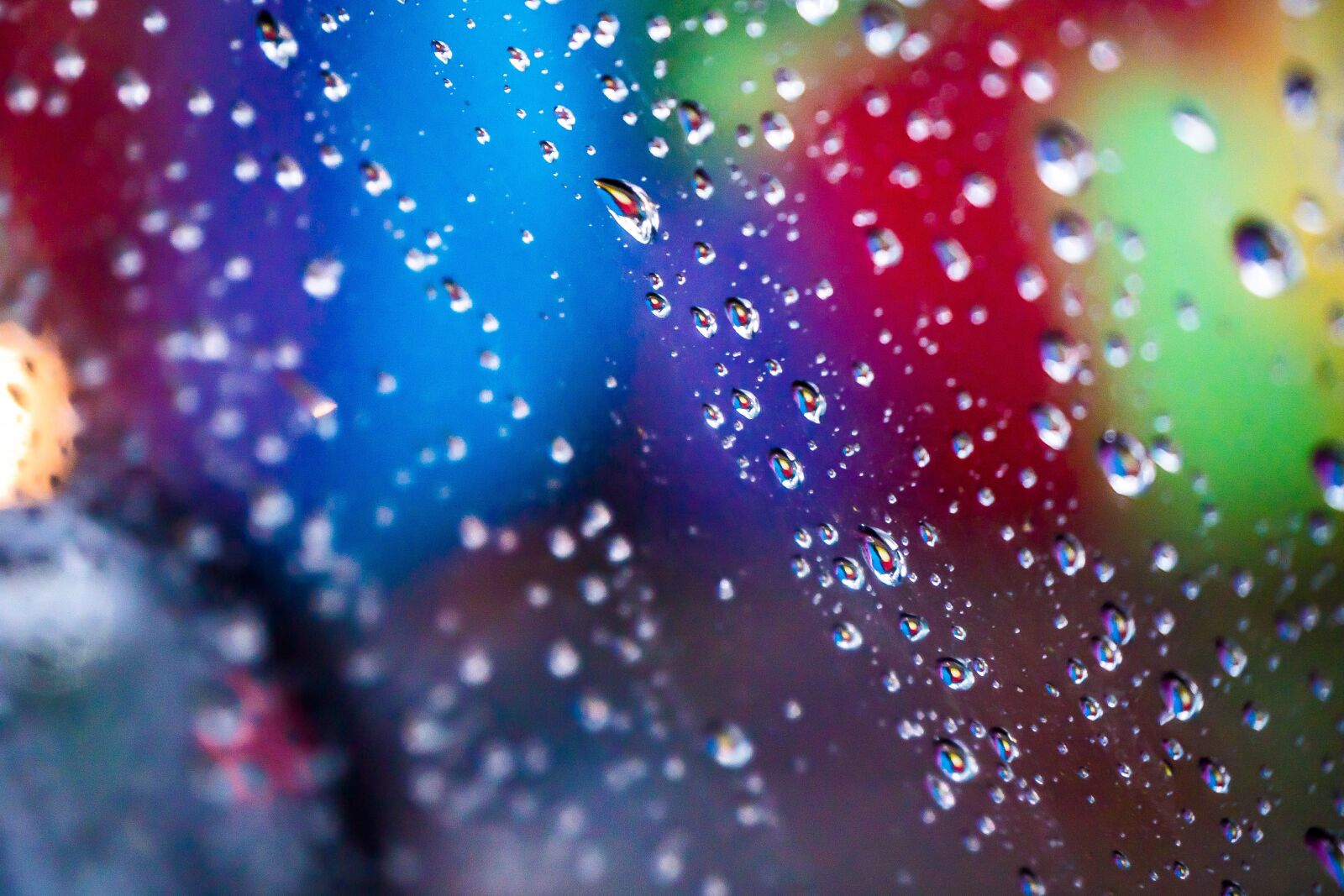 Olympus PEN E-PL7 sample photo. Colors, rain, drops photography