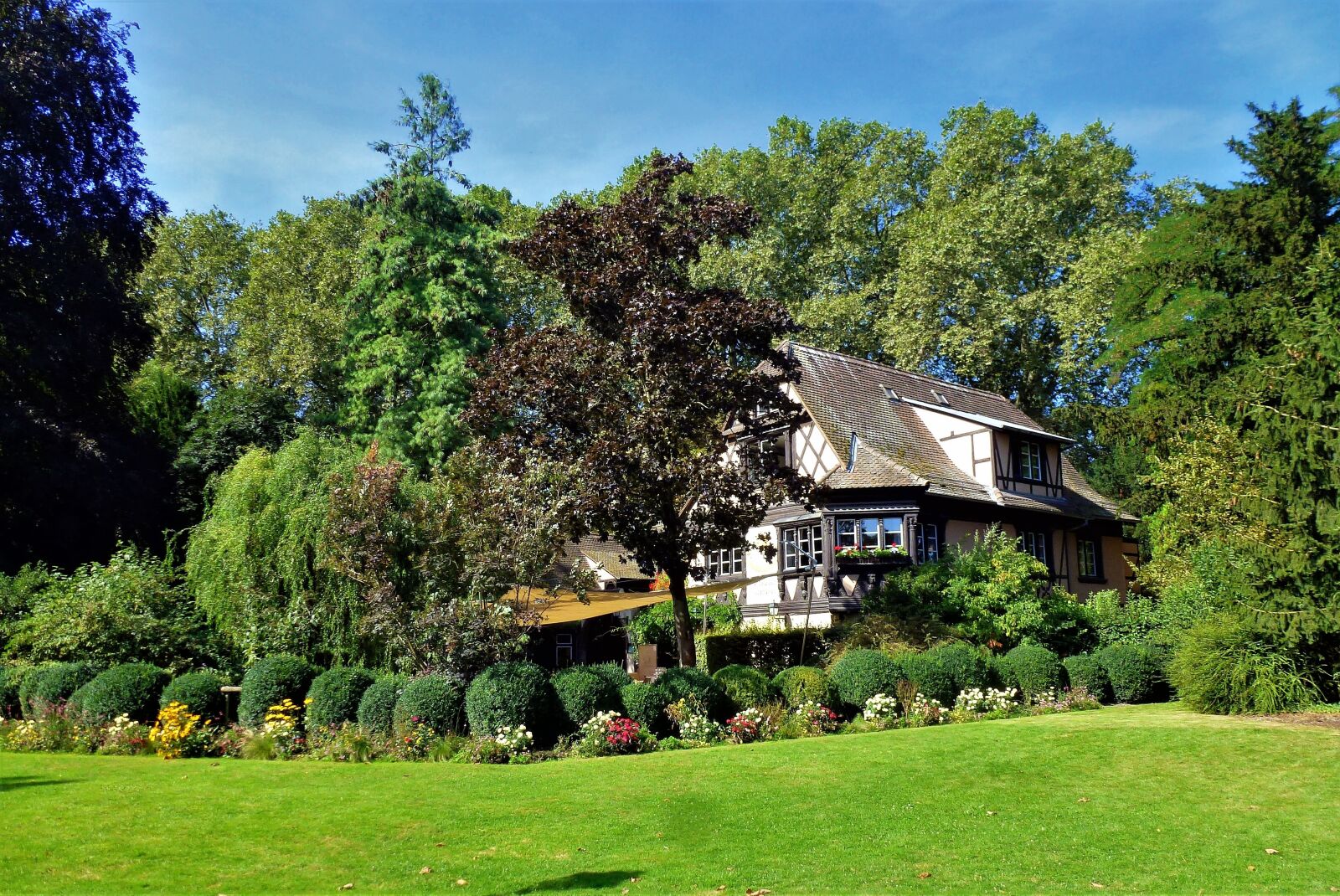 Panasonic Lumix DMC-ZS10 (Lumix DMC-TZ20 / Lumix DMC-TZ22) sample photo. Strasbourg, tree, house photography