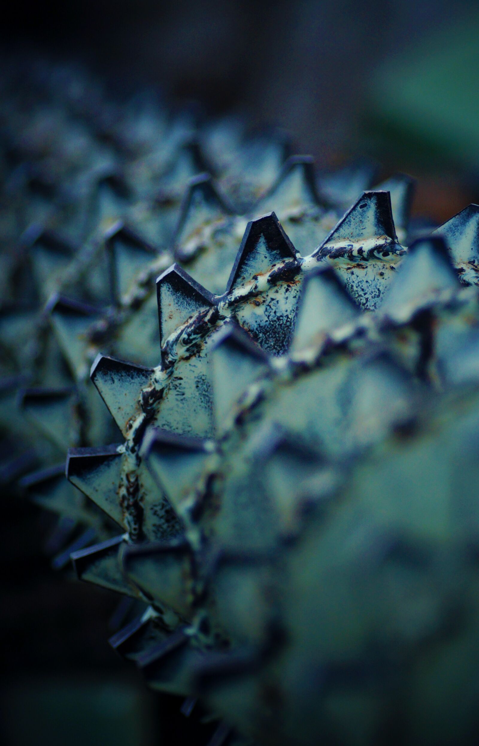 Sony SLT-A57 sample photo. Background, milling machine, saw photography