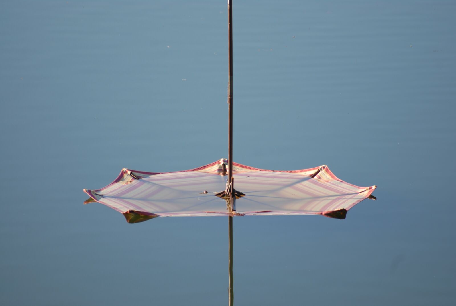 Nikon D200 sample photo. Umbrella, water, nature photography