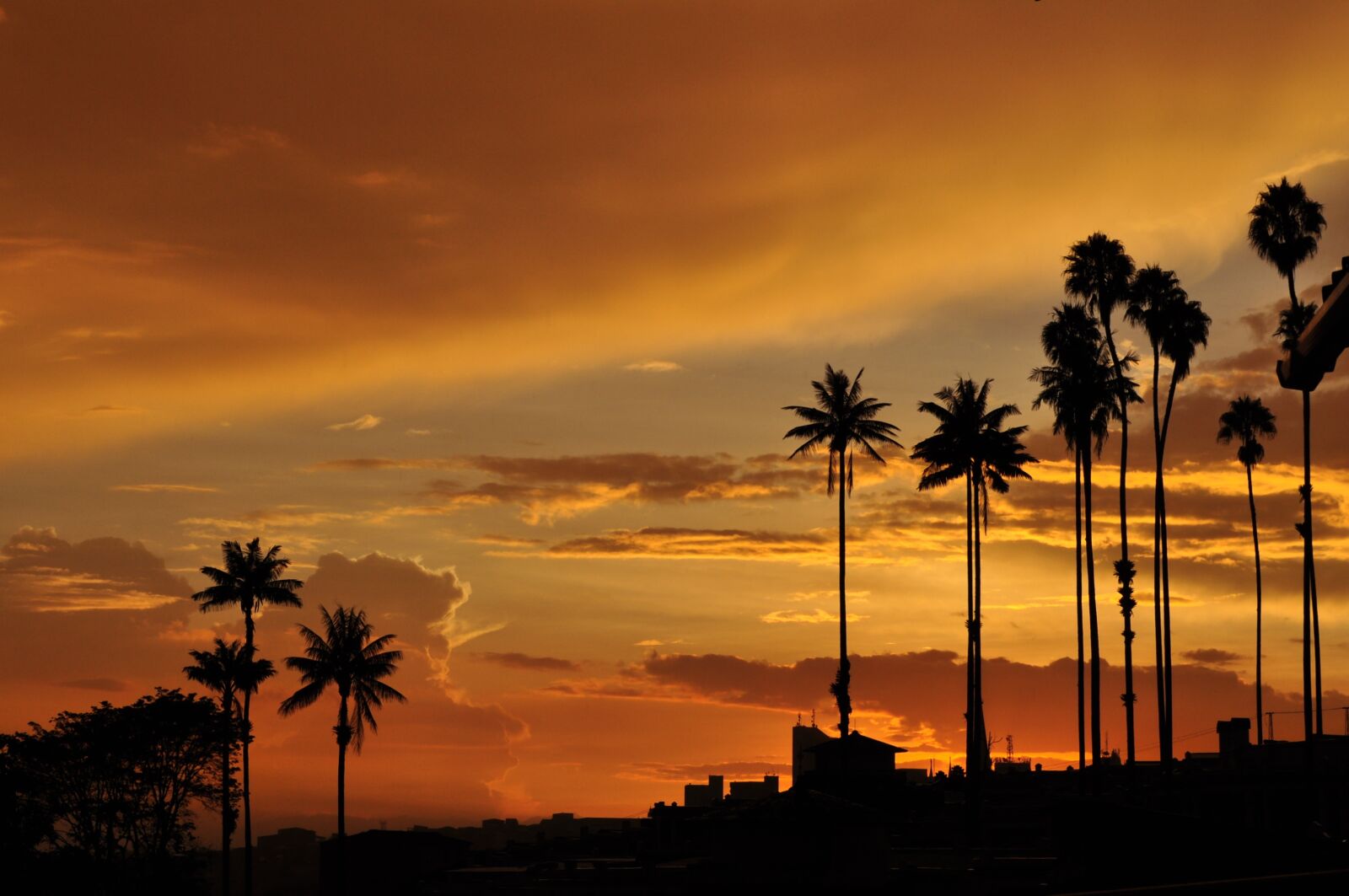Nikon D5000 sample photo. Sunset, landscape, nature photography