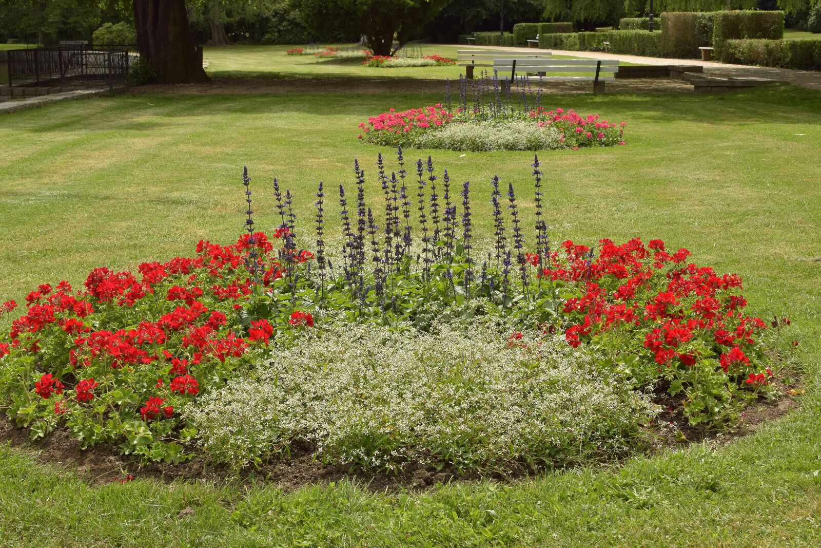 Nikon D5300 sample photo. Park, flowers, walk photography