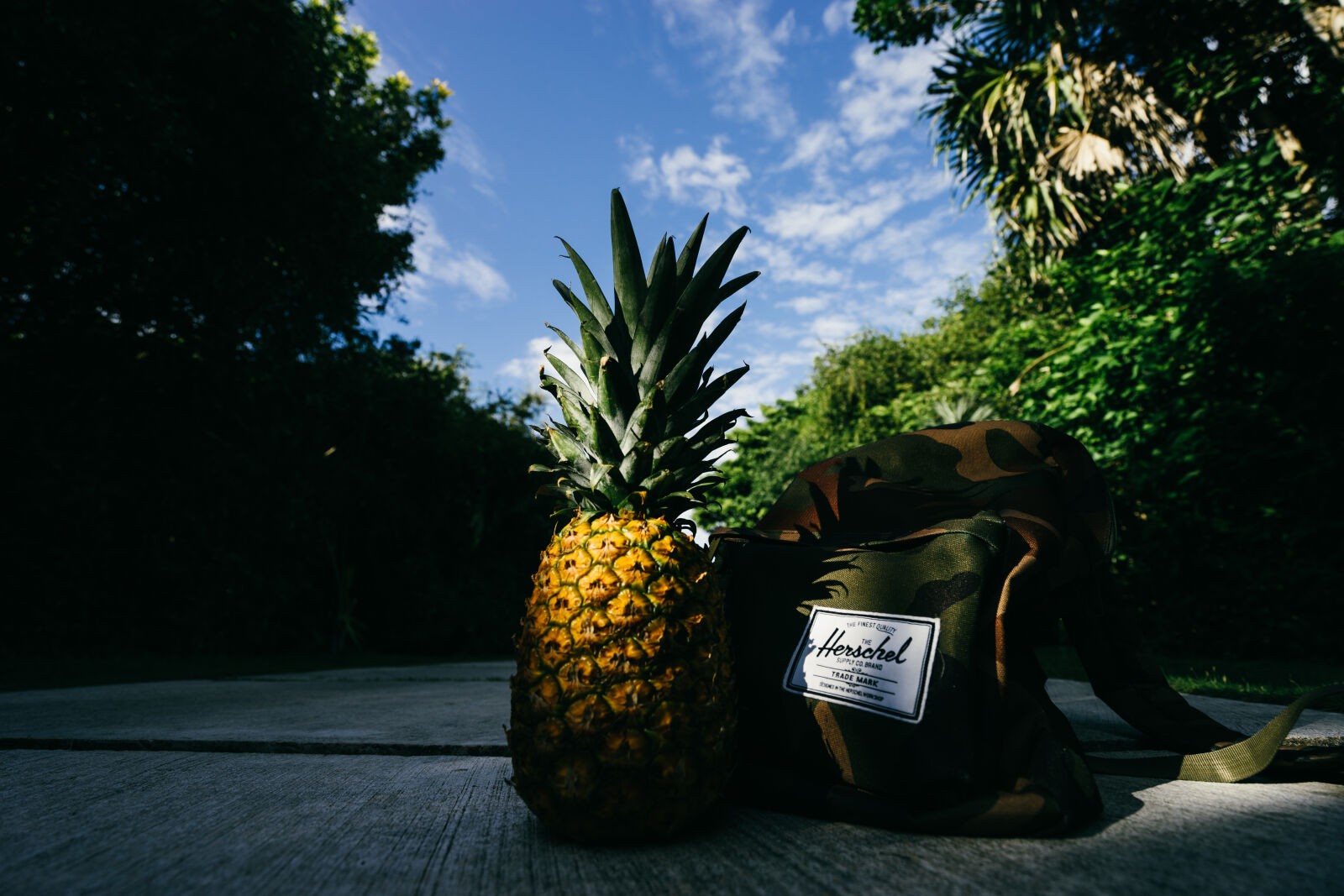 Sony a7 II + Sony Vario-Tessar T* FE 16-35mm F4 ZA OSS sample photo. Pineapple, fruit, nature, backpack photography