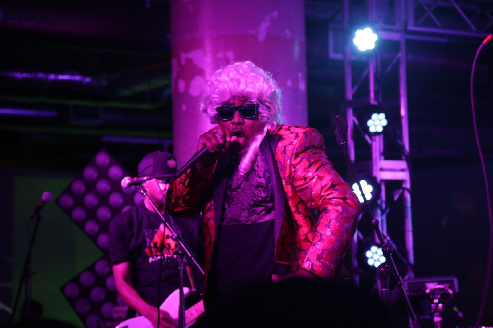 Canon EF 24-105mm F4L IS USM sample photo. Singer, concert, music photography