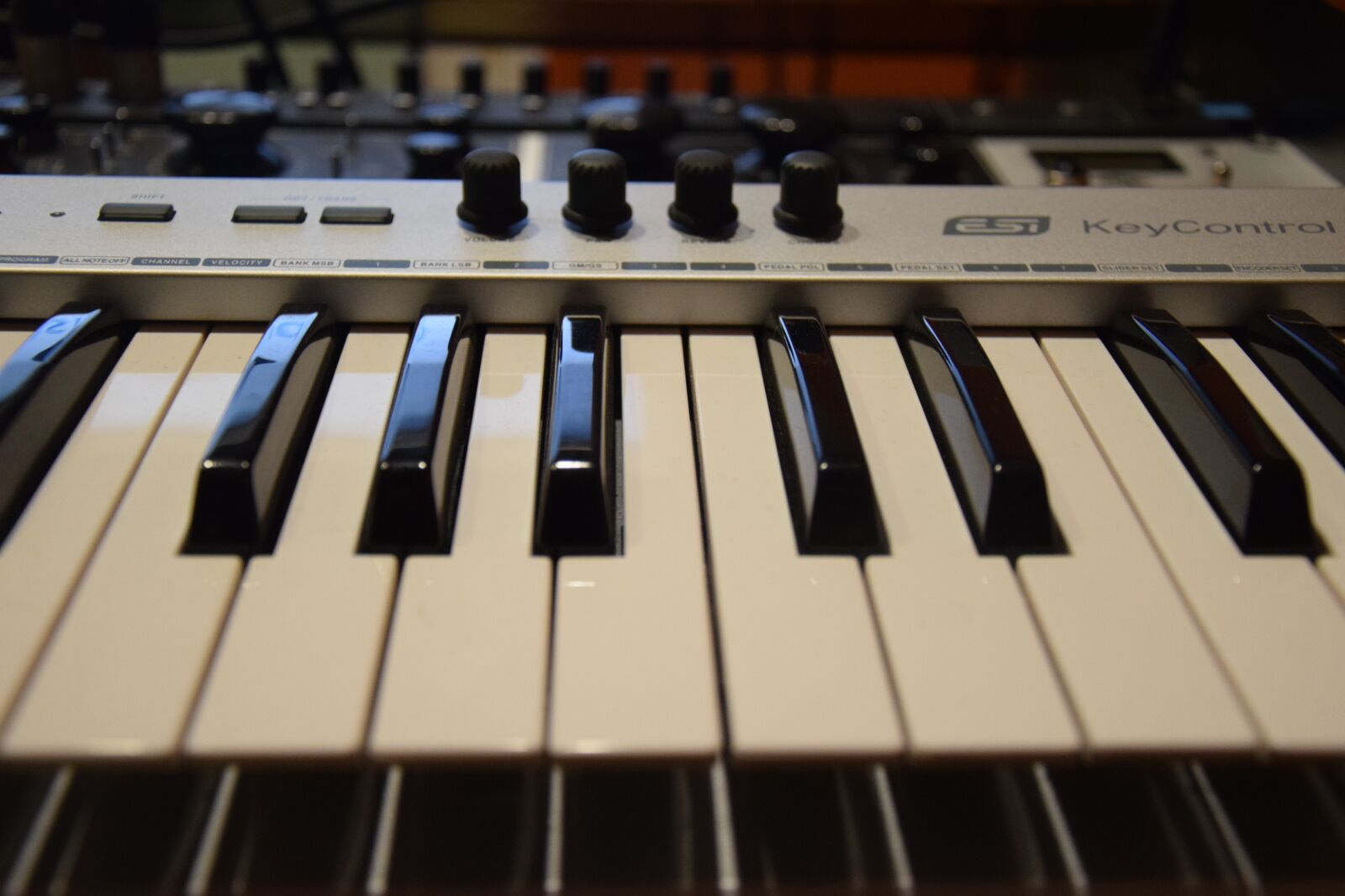 Nikon D5300 sample photo. Key, piano, sound photography