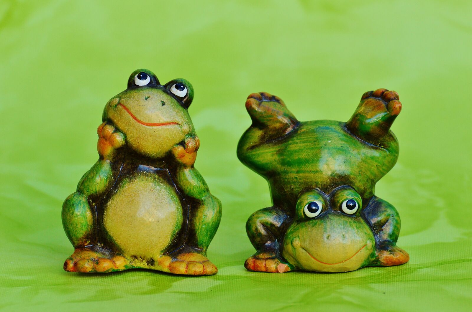 Nikon D3200 sample photo. Frogs, frog, figure photography