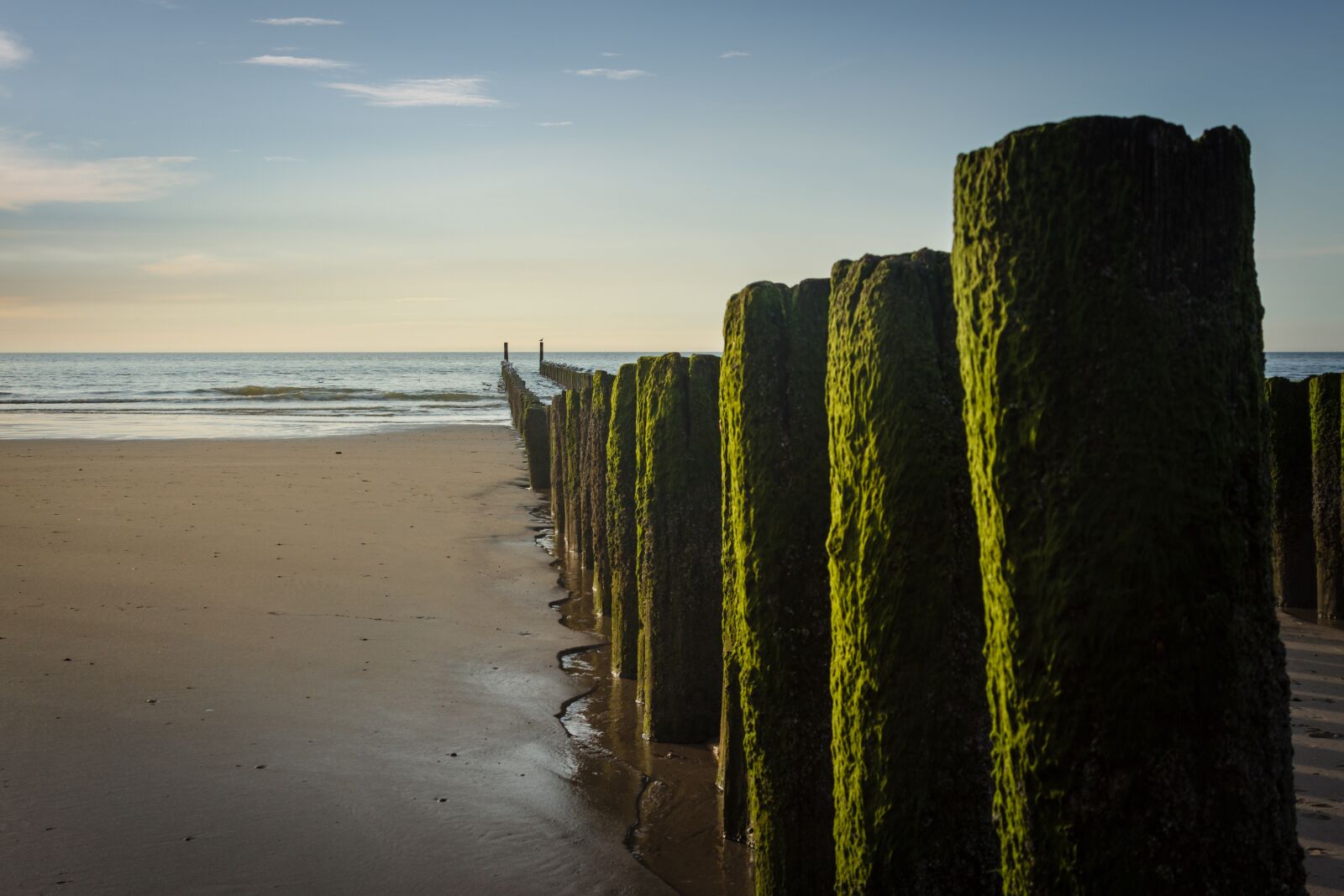 Canon EOS 7D sample photo. Stack, höft, groynes photography