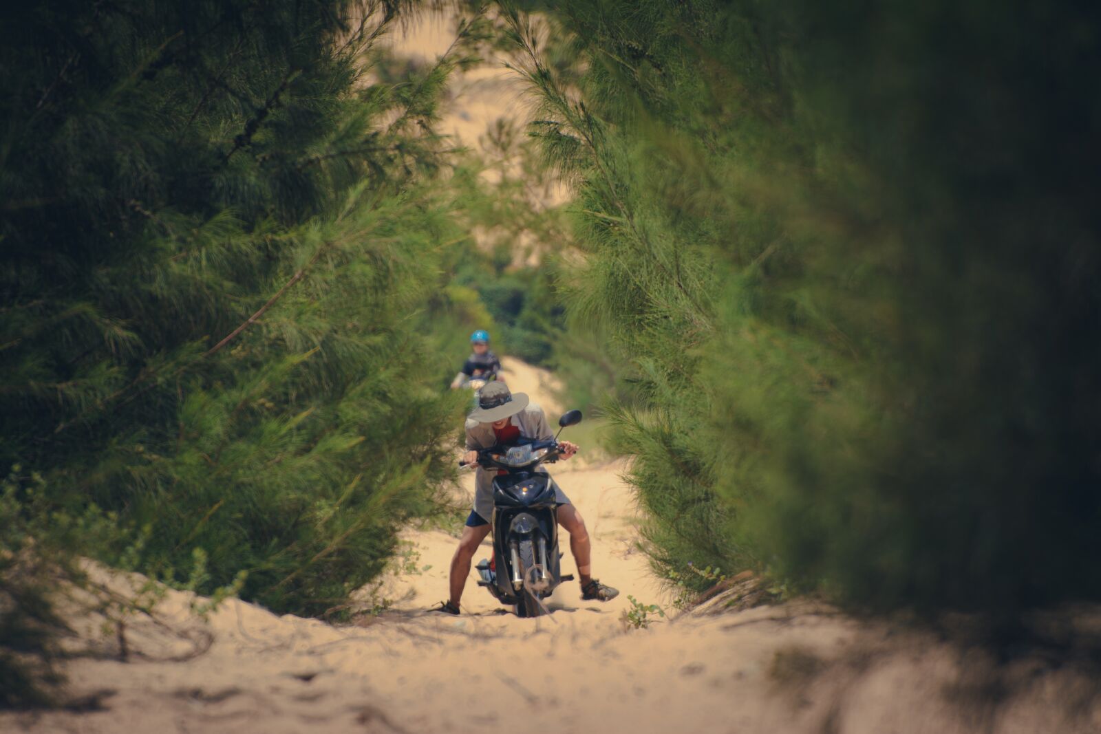 Nikon D7100 sample photo. Bike, sand, downhill photography