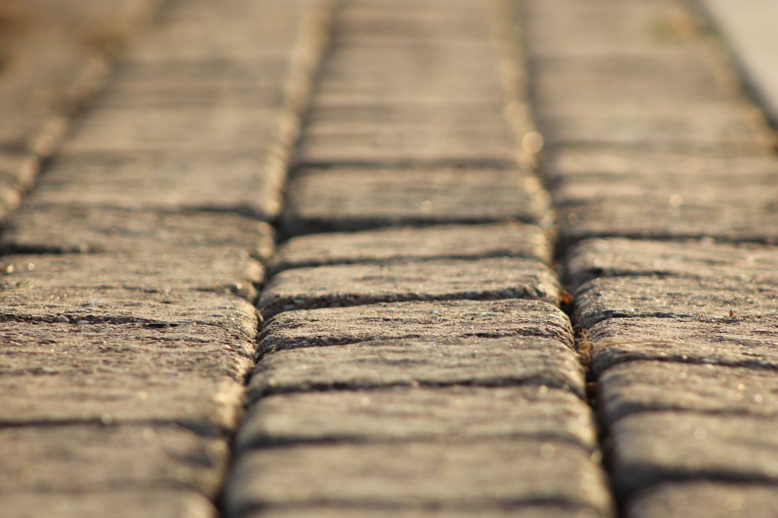 Canon EOS 1100D (EOS Rebel T3 / EOS Kiss X50) sample photo. Bricks, background, brickwork photography