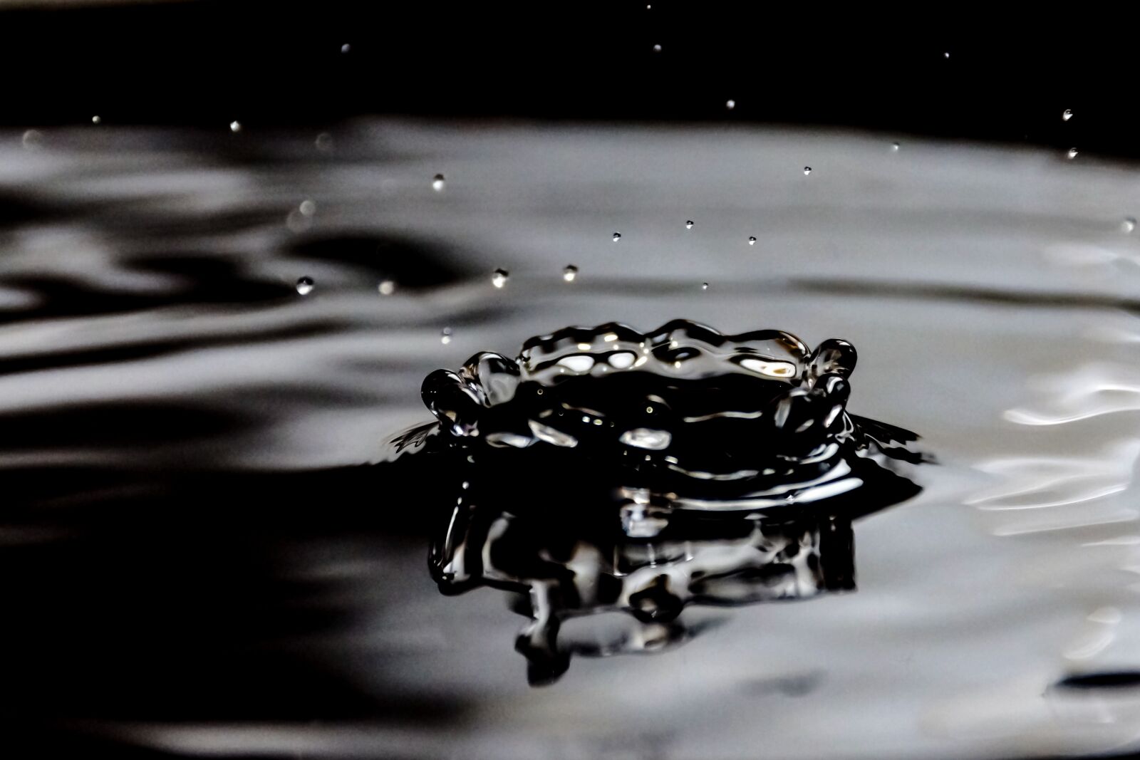 Nikon D7200 sample photo. Drops, water, wet photography