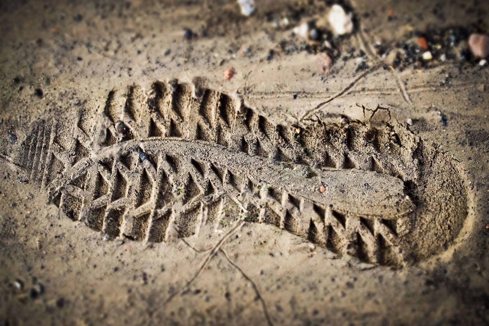 Olympus OM-D E-M10 sample photo. Shoe print, sole, reprint photography