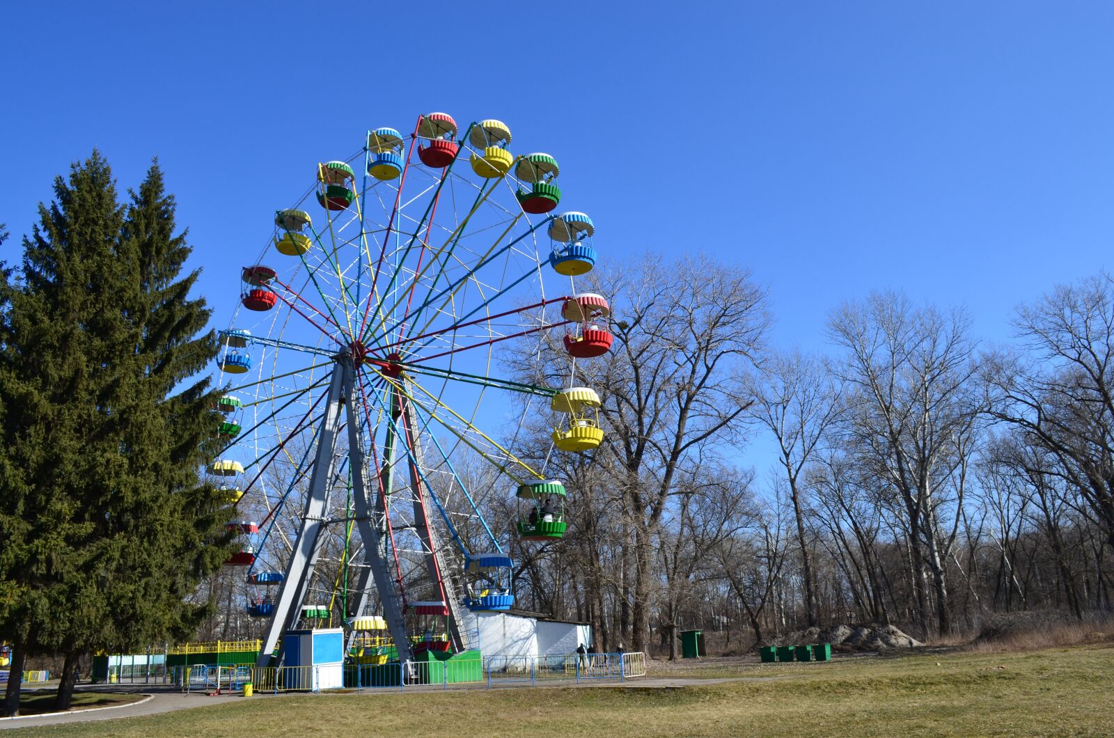 Nikon D5100 sample photo. Park, scrip, ferris wheel photography
