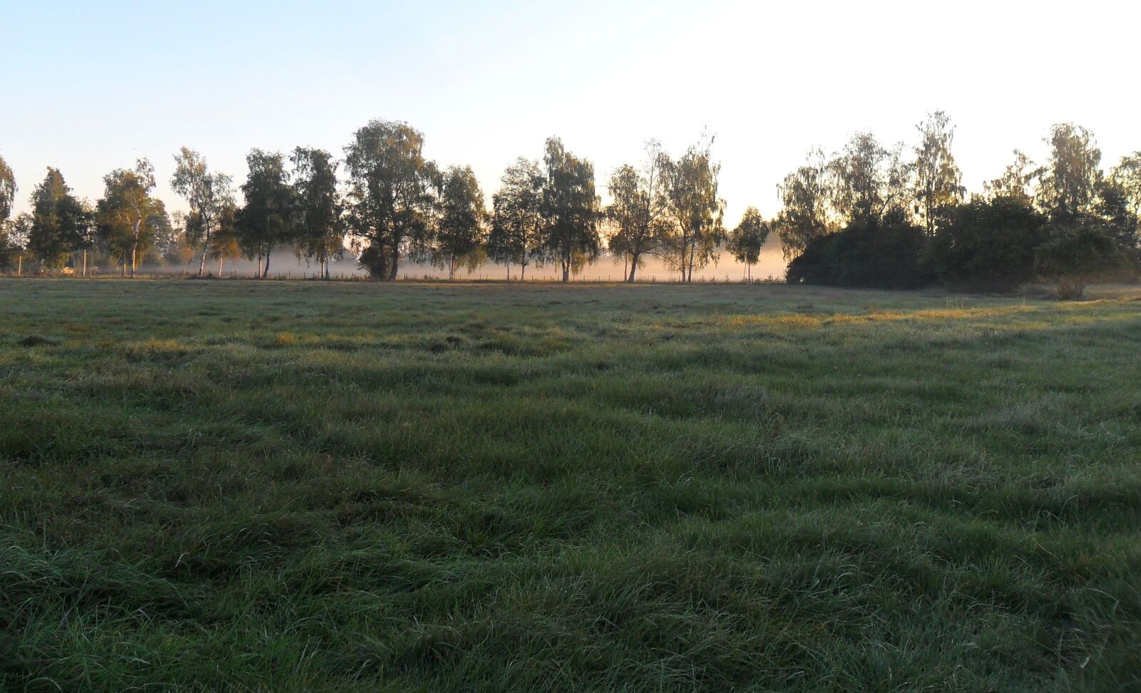 Samsung ES65, ES67 / VLUU ES65, ES67 /  SL50 sample photo. Trees, fog, morgenrot photography