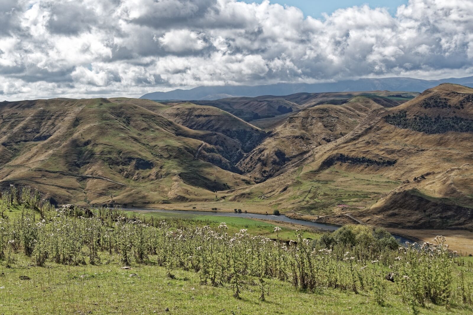 Nikon D500 sample photo. New zealand, north island photography