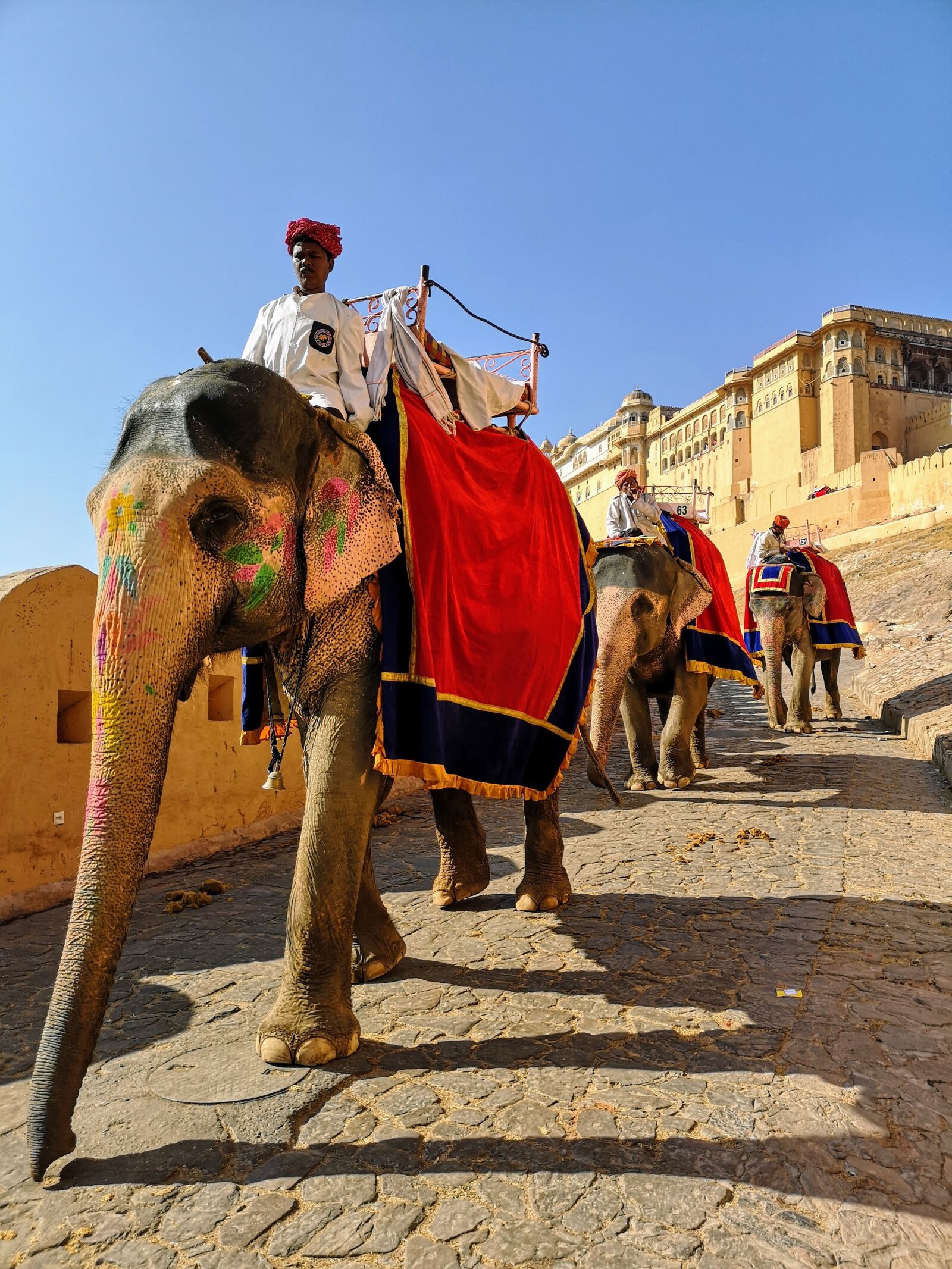 HUAWEI CLT-L09 sample photo. India, elephant, hinduism photography