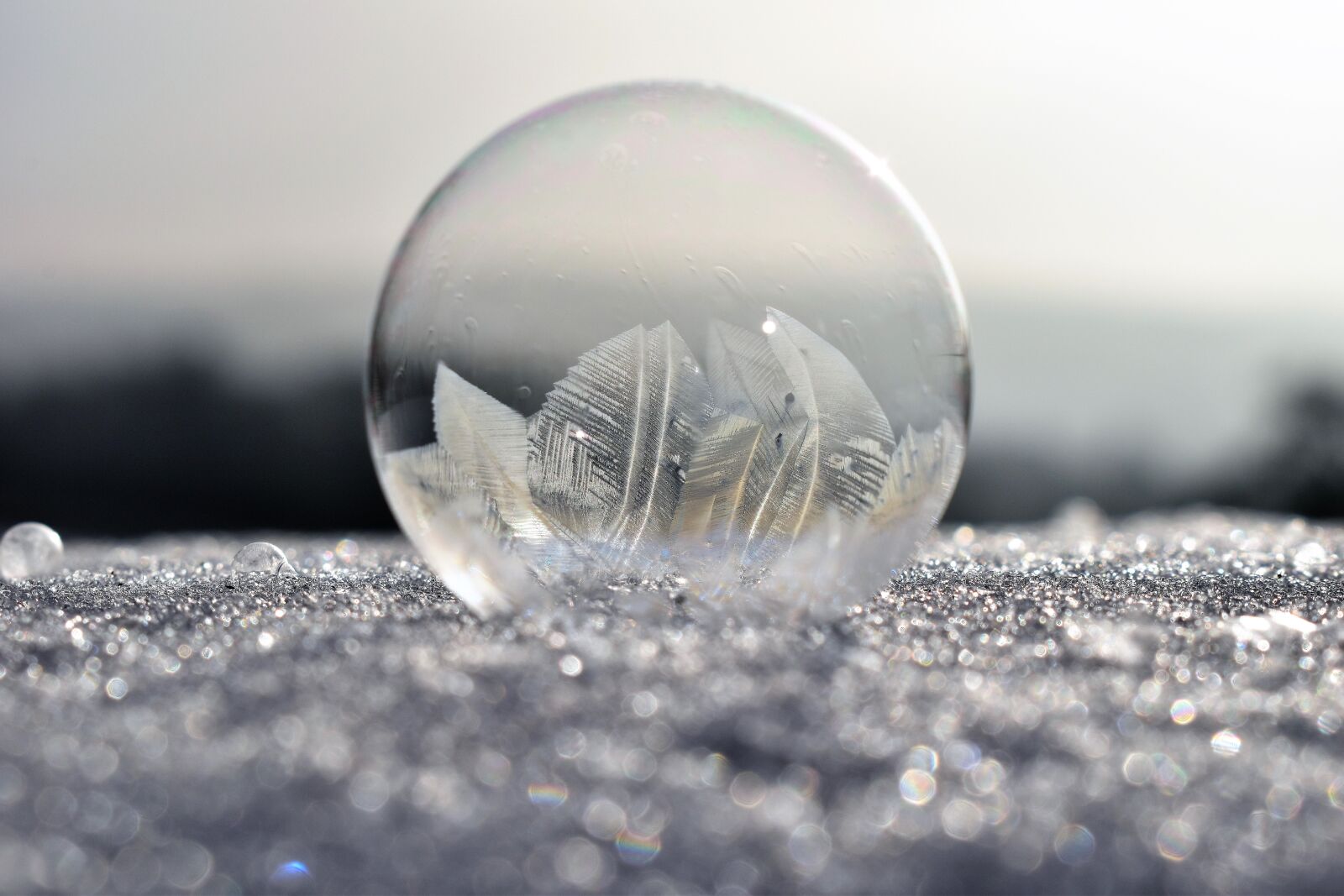 Nikon D5500 sample photo. Soap bubbles, frozen, frost photography