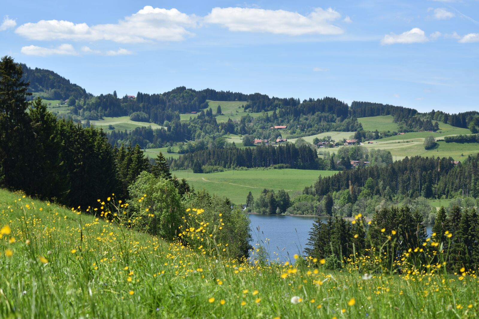 Nikon D3500 sample photo. Nature, lake, mountains photography