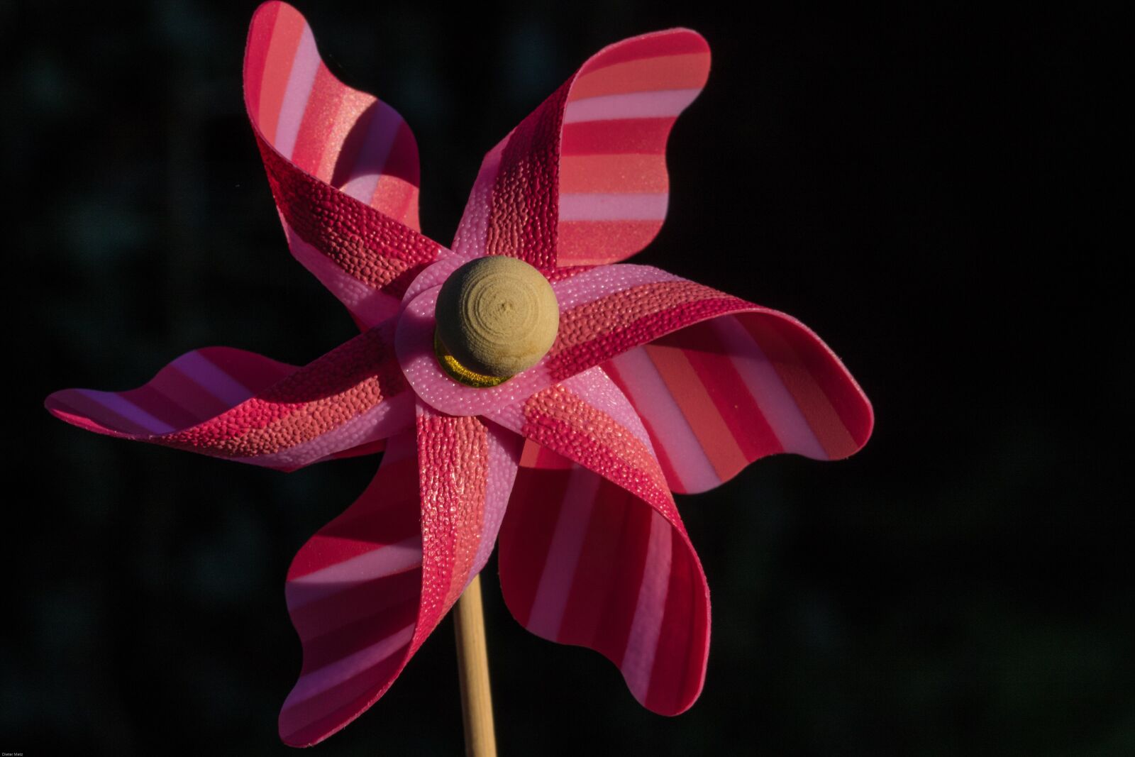 Canon EOS 7D Mark II sample photo. Pinwheel, toys, turn photography
