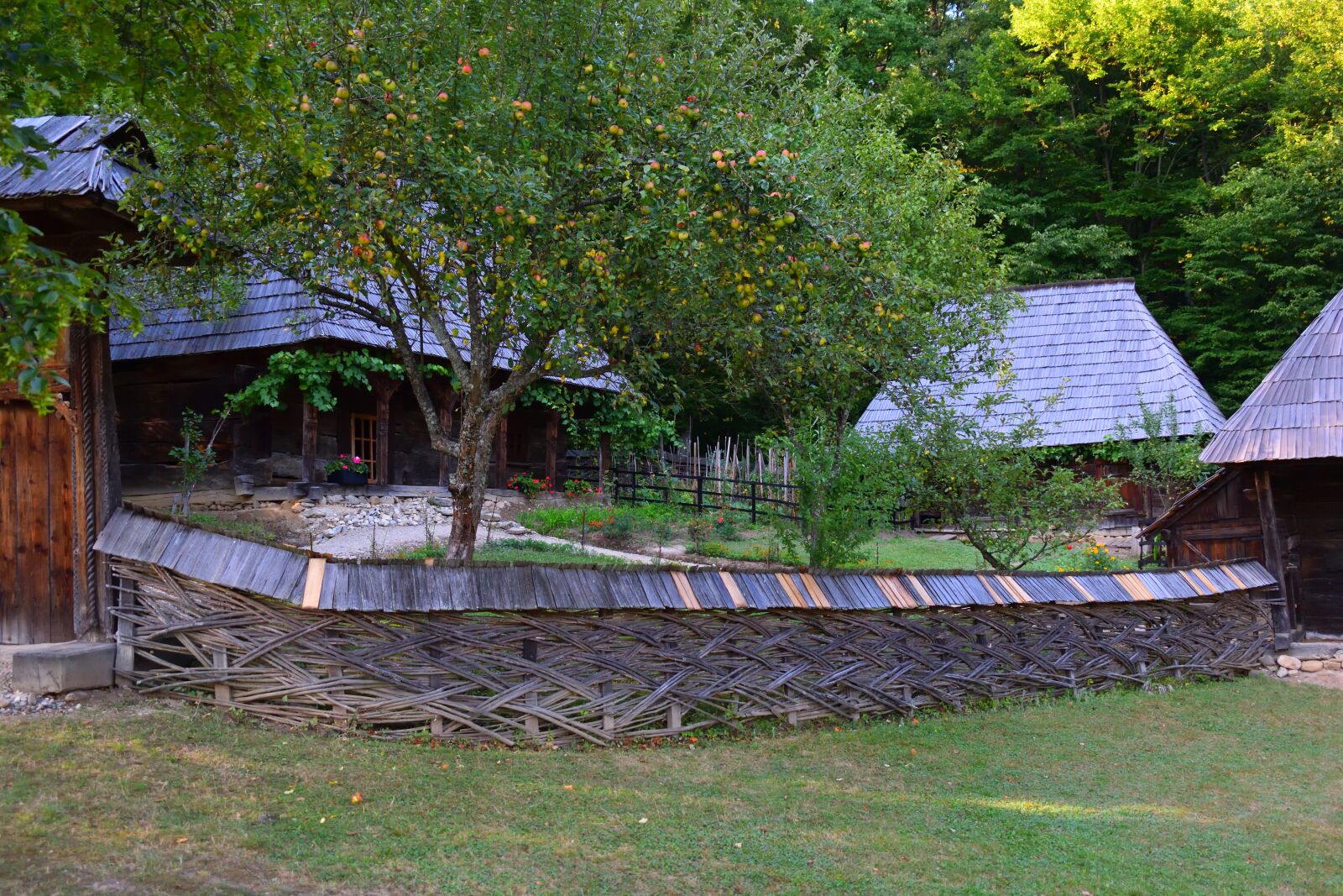 Nikon D3500 sample photo. History, traditional, ancient photography