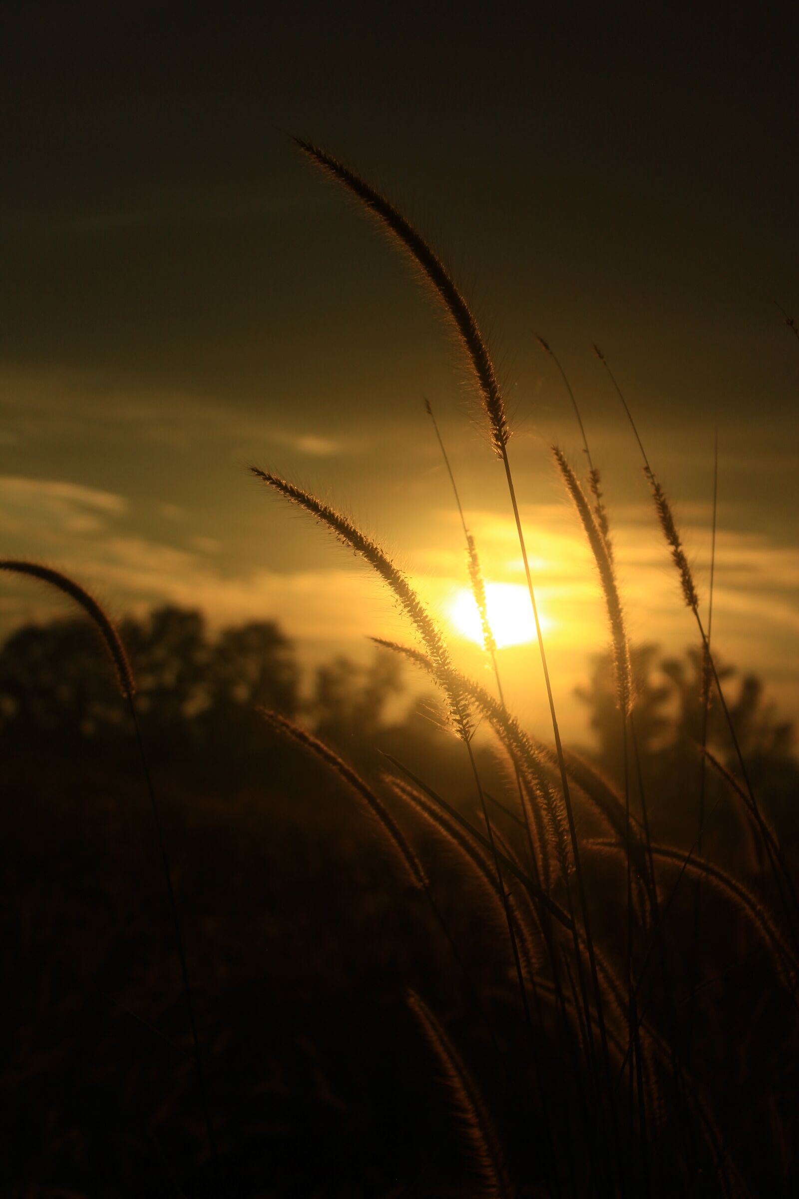 Canon EOS 550D (EOS Rebel T2i / EOS Kiss X4) sample photo. Sunset, sky, afternoon photography