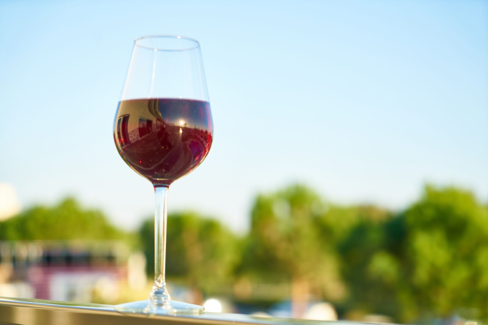 Sony a7R II sample photo. Wine, a toast, landscape photography