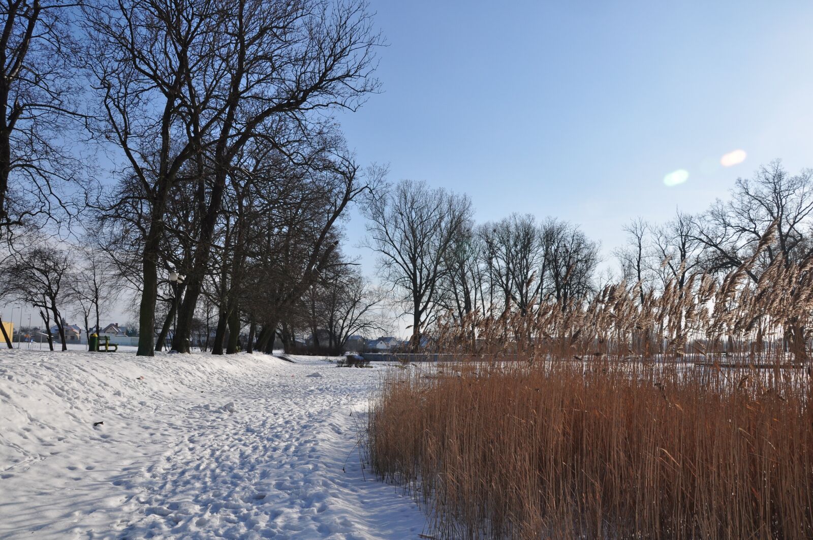 Nikon D90 sample photo. Winter, snow, landscape photography
