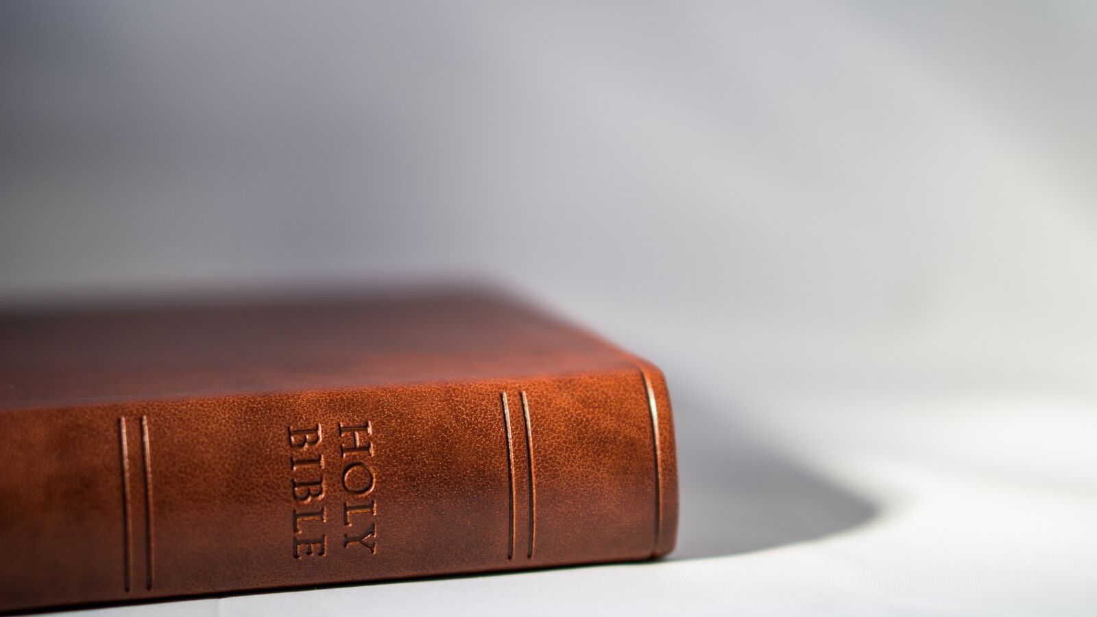 E 50mm F1.8 OSS sample photo. Bible, book, reading photography