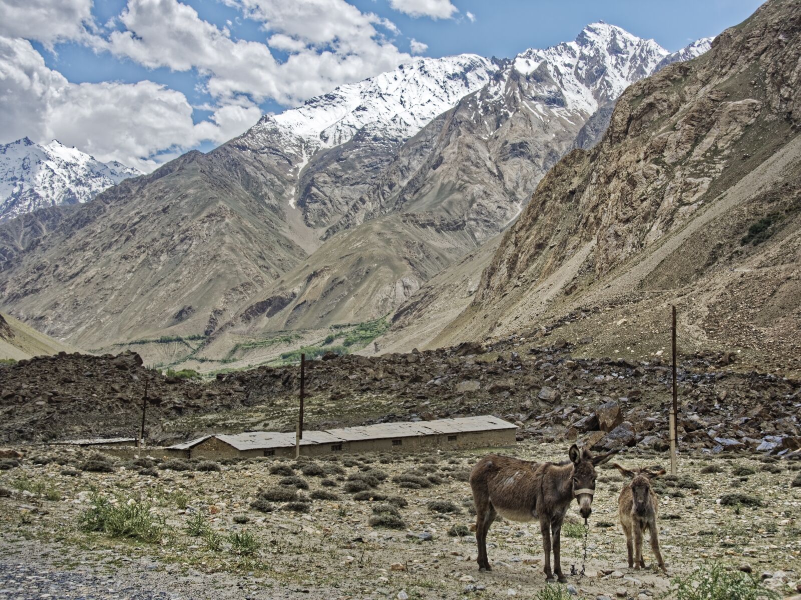 Nikon D500 sample photo. Tajikistan, province of mountain-badakhshan photography