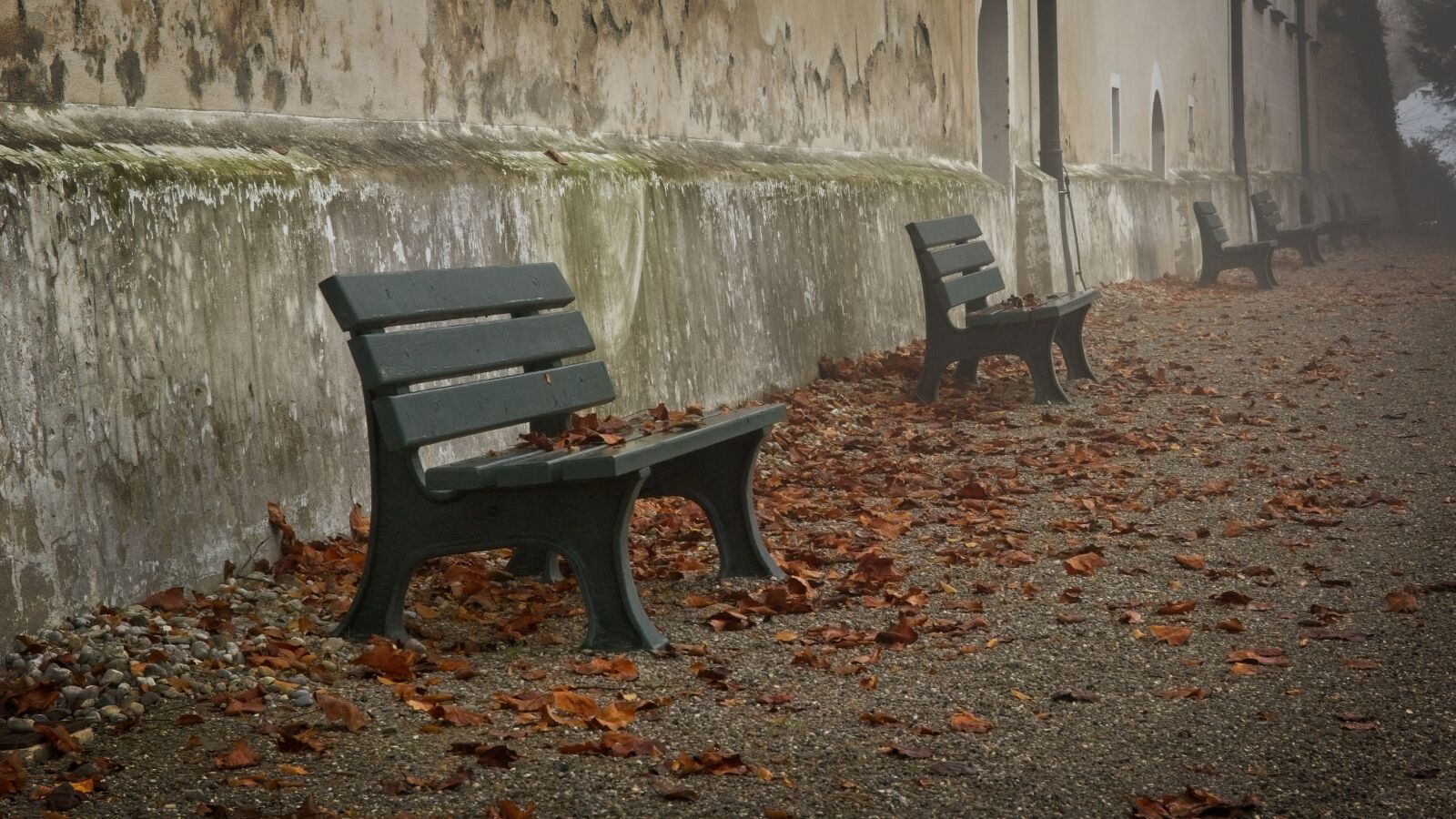 Nikon D7100 sample photo. Fog, foggy, bench photography
