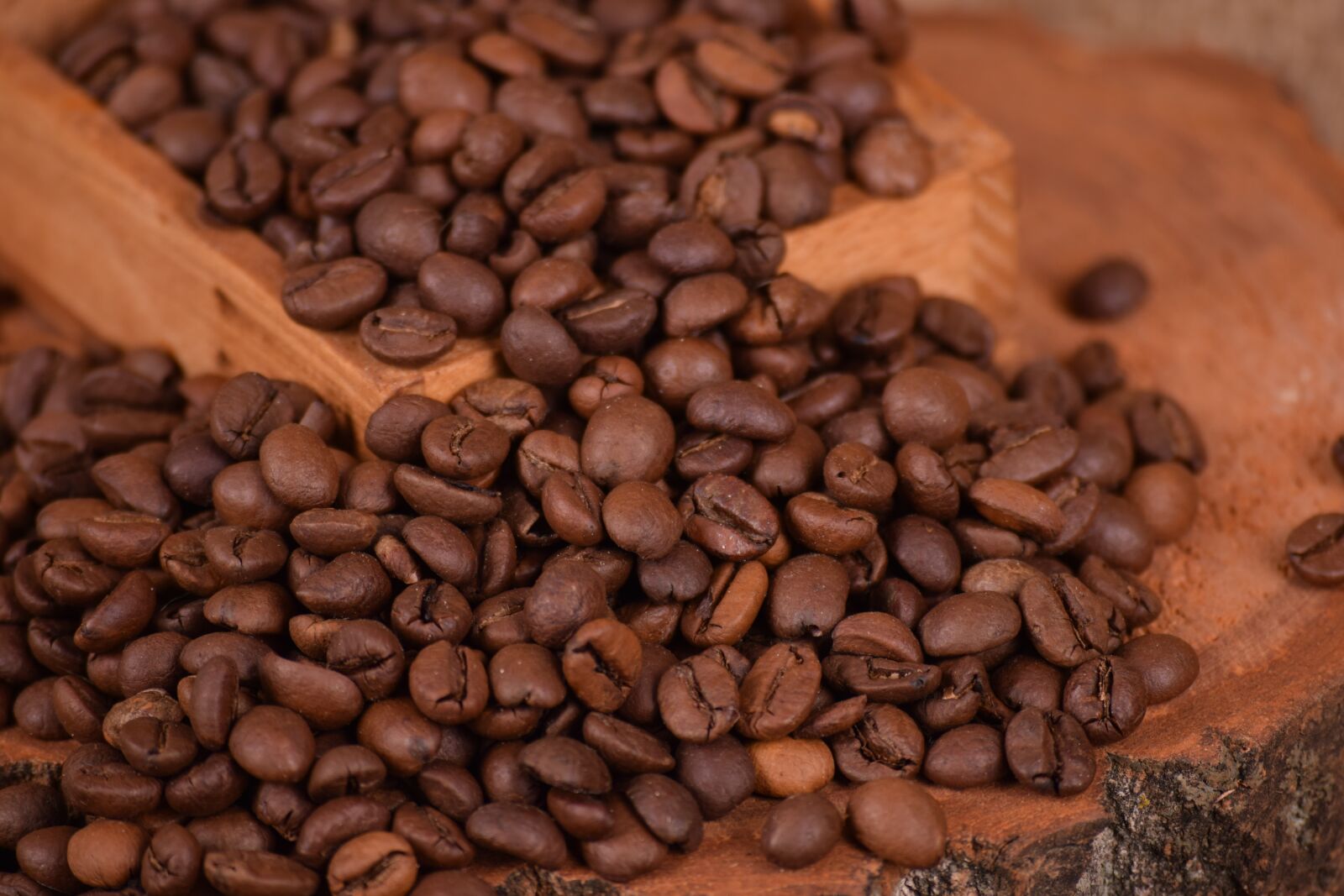 Nikon D3300 sample photo. Coffee, caffeine, seed photography