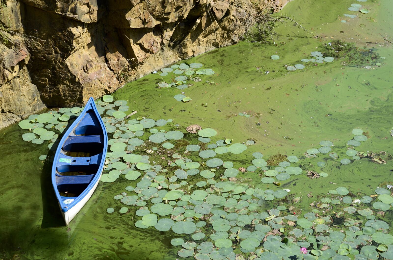 Nikon D7000 sample photo. Boat, blue, green photography