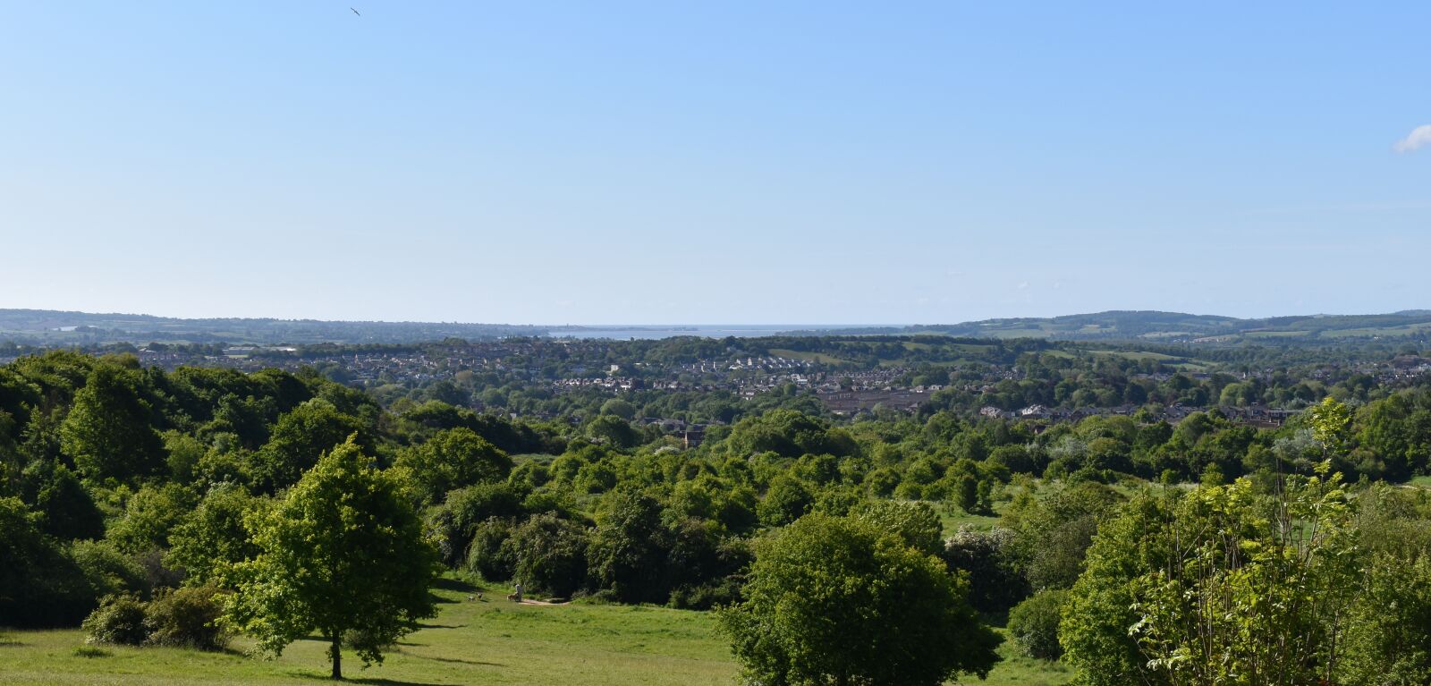 Nikon D3500 sample photo. Scenic, woodland, nature photography