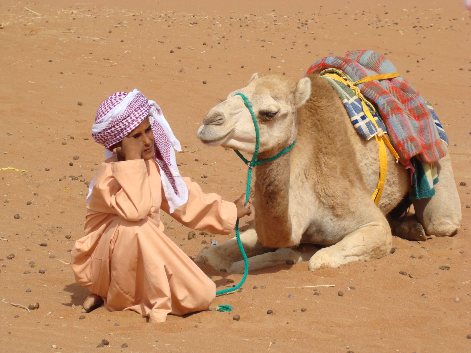 Sony DSC-H7 sample photo. Bedouin, camel, desert photography