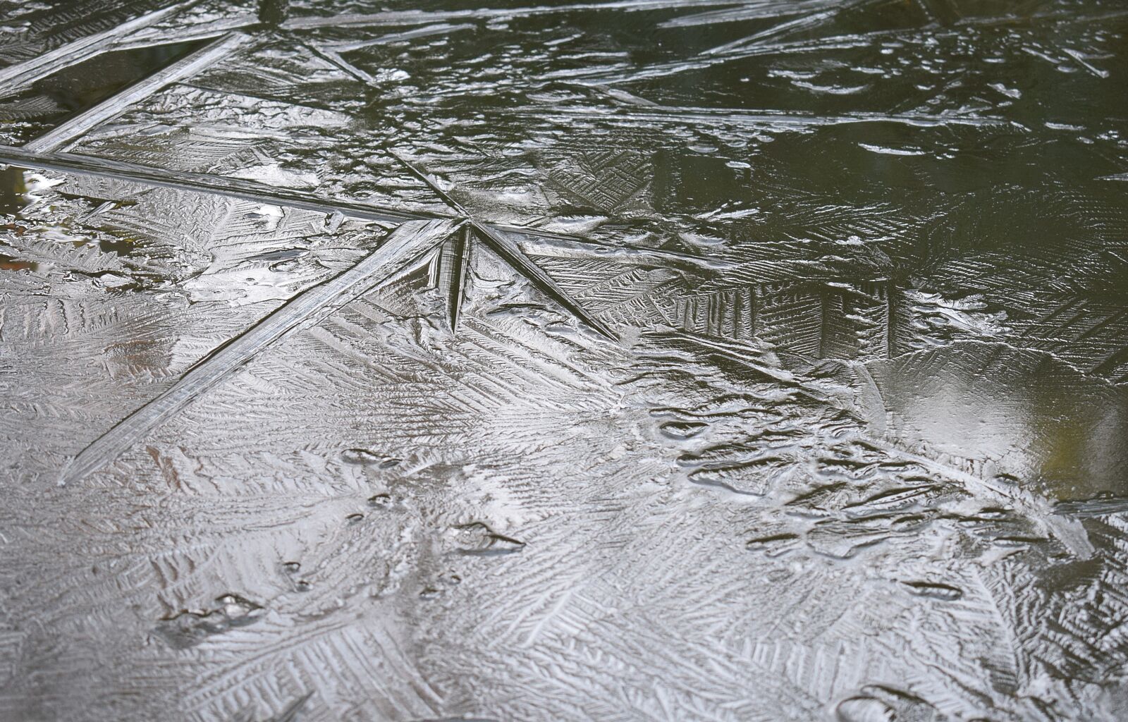 Nikon D3300 sample photo. Ice patterns, ice, pond photography