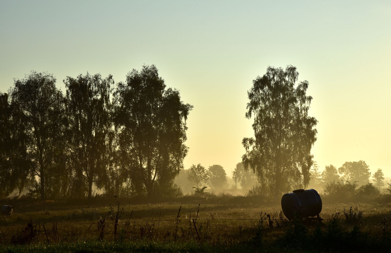 Nikon D750 sample photo. Morgenstimmung, landscape, nature photography