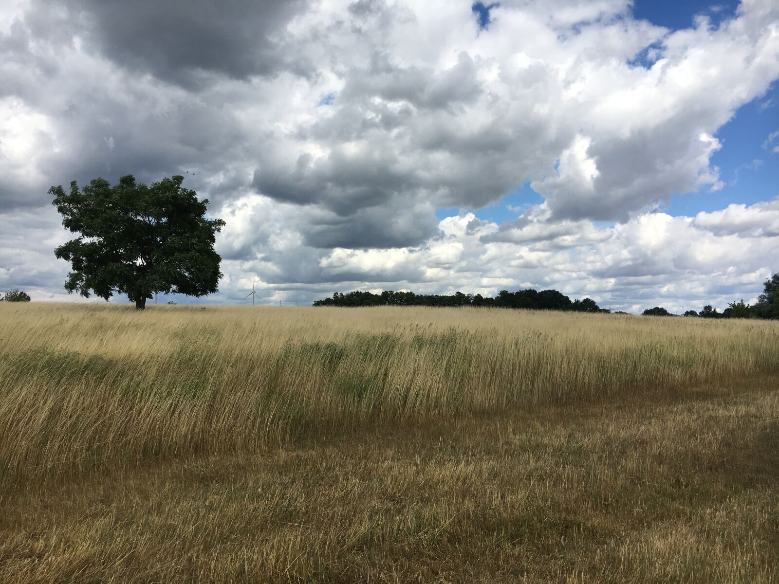 Apple iPhone 6s sample photo. Landscape, clouds, sky photography