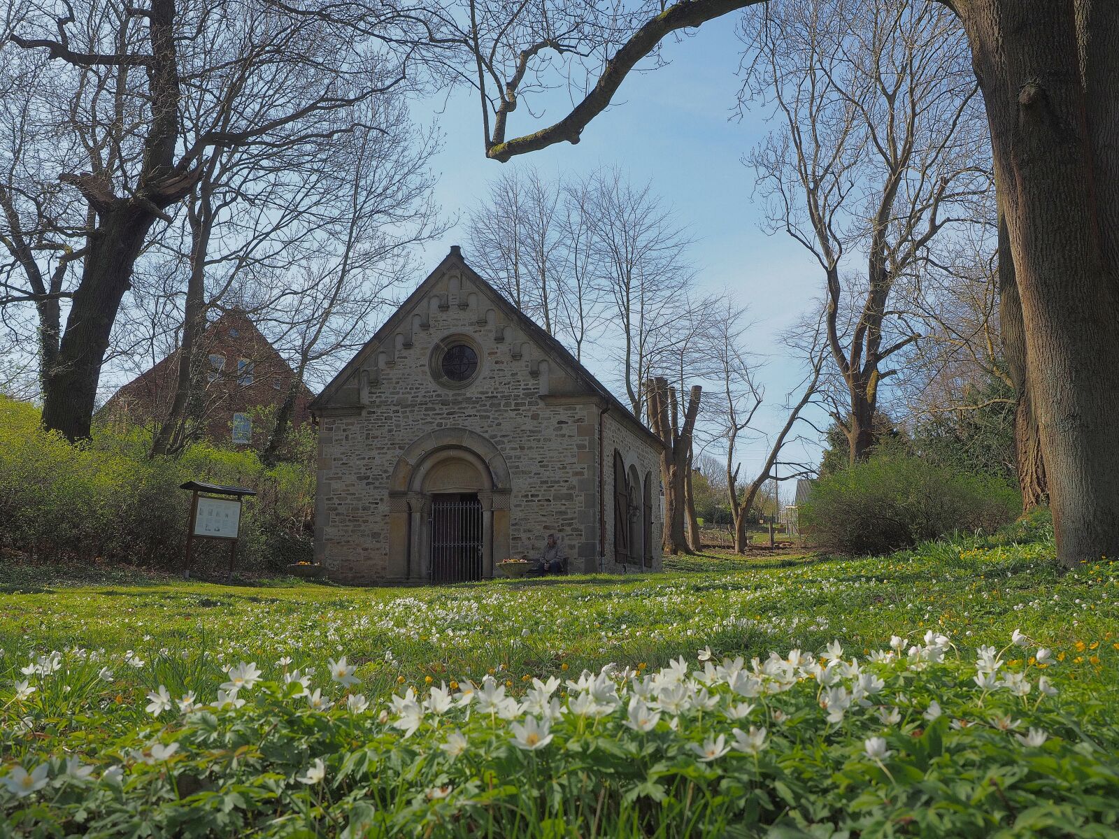 Olympus OM-D E-M1 + Olympus M.Zuiko Digital ED 12-40mm F2.8 Pro sample photo. Marie born, mary's chapel photography