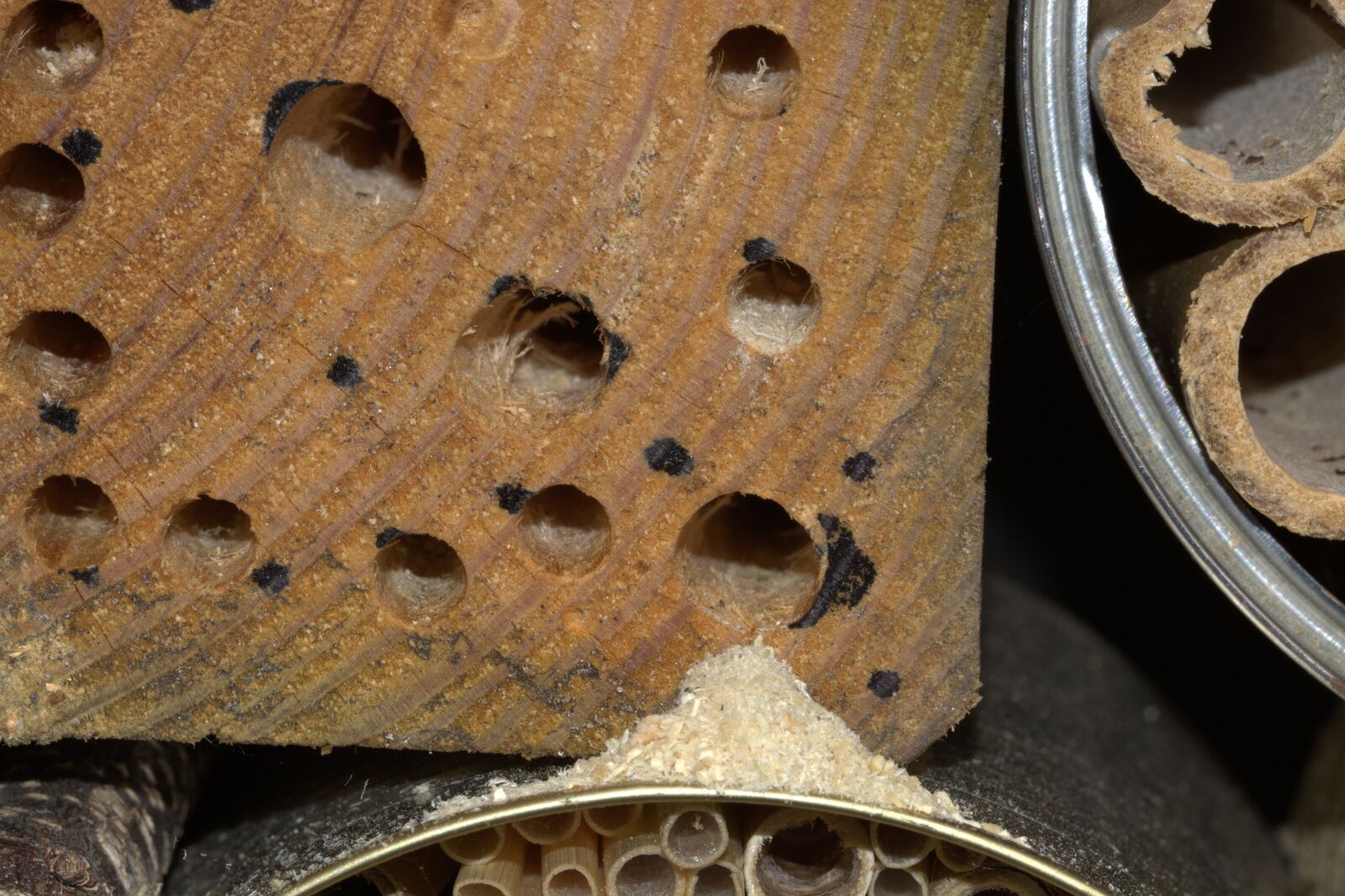 Nikon D5200 sample photo. Insect hotel, hole, wood photography