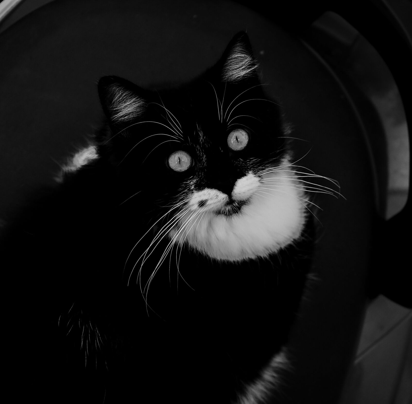 Fujifilm X-T10 sample photo. Black, and, white photography