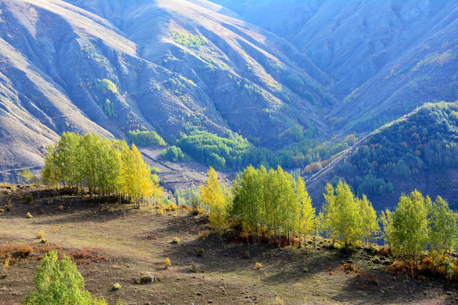 Nikon D7100 sample photo. Nature, landscape, kaçkars photography