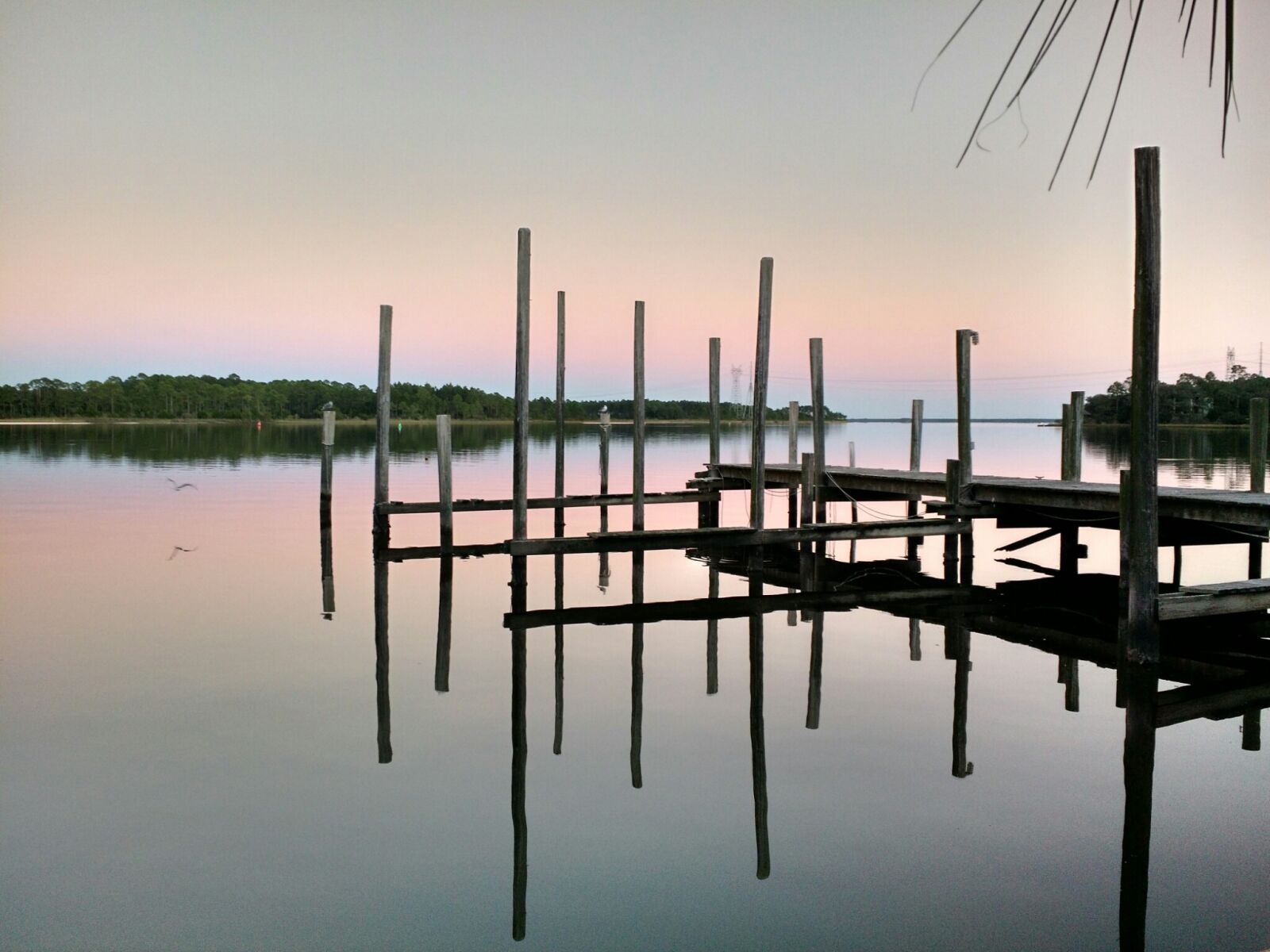 Motorola Moto X (2nd Gen) sample photo. Dock, florida, ocean, pier photography