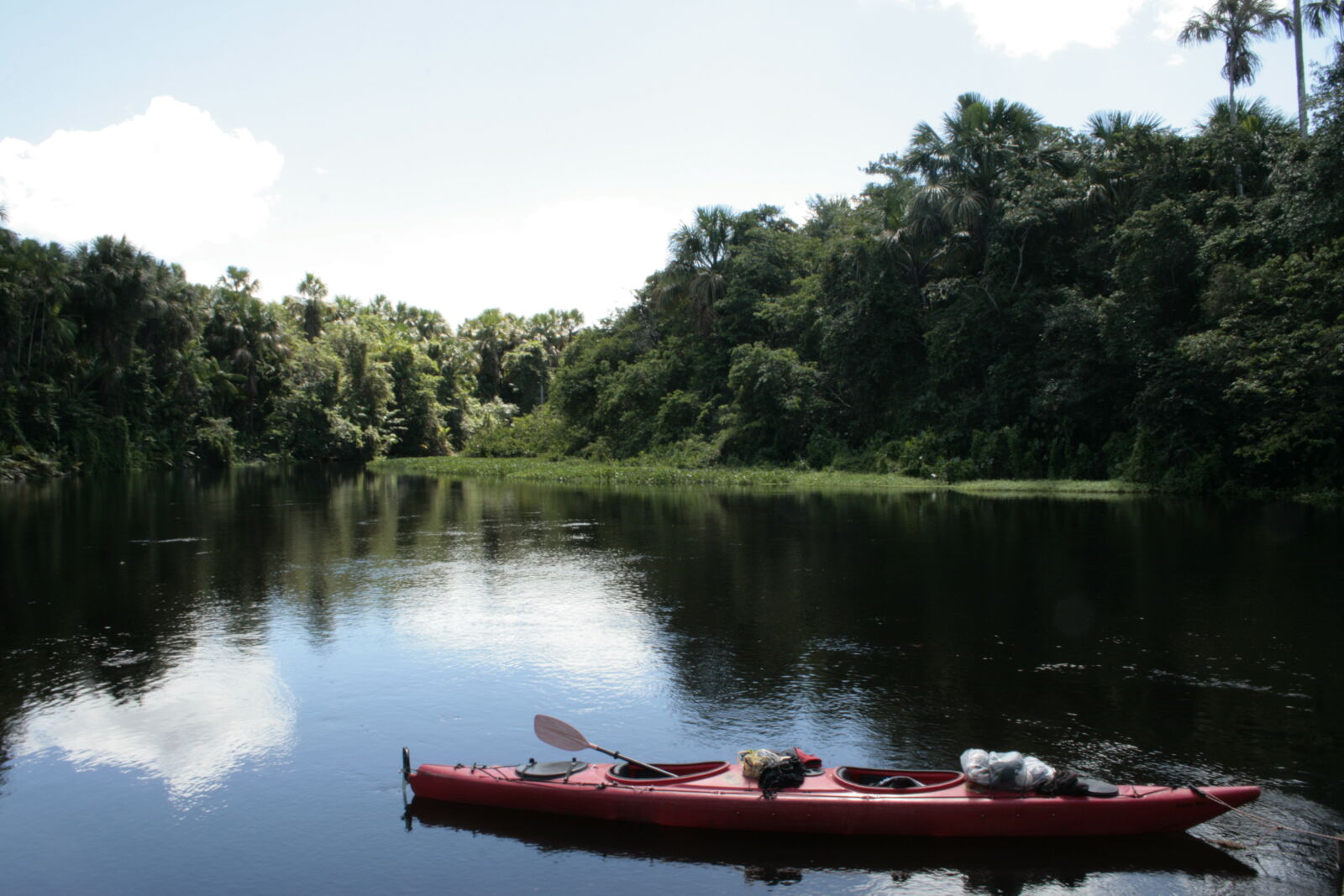 Canon EF-S 18-55mm F3.5-5.6 II sample photo. Jungle, kayak, paddle, boat photography