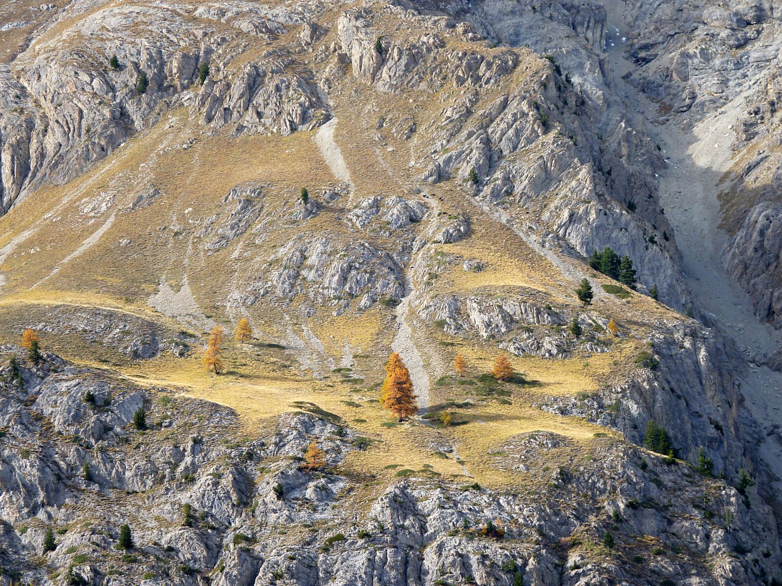 Panasonic Lumix DMC-FZ35 (Lumix DMC-FZ38) sample photo. Alps, altitude, landscape photography
