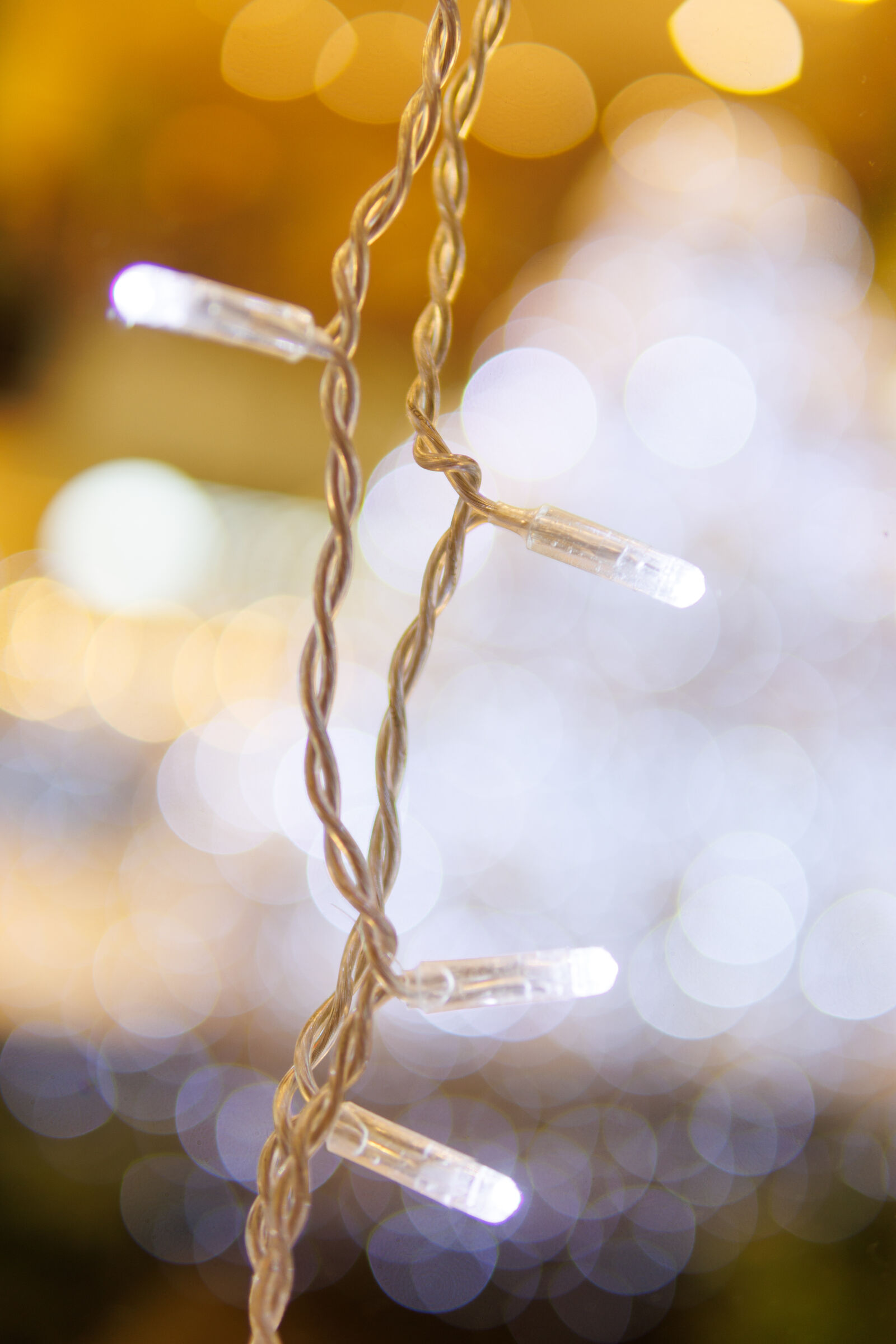 Sigma 30mm F1.4 DC DN | C sample photo. Decoration bokeh photography