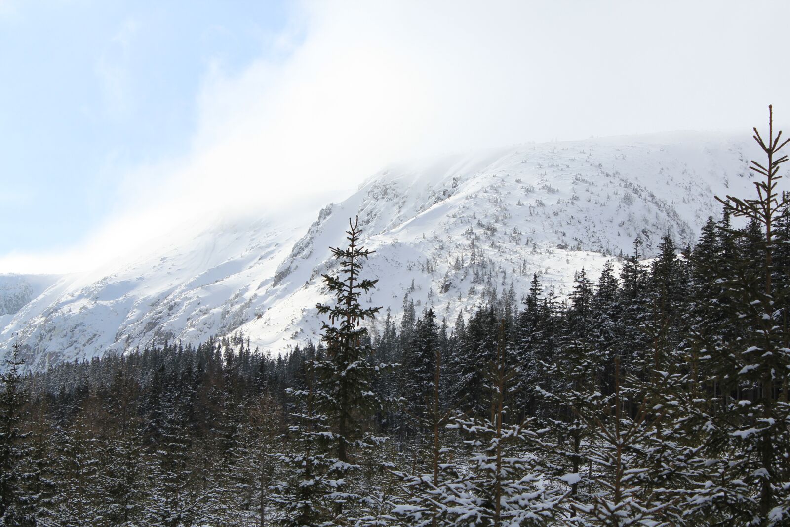 Canon EOS 550D (EOS Rebel T2i / EOS Kiss X4) sample photo. Mountains, krkono e giant photography