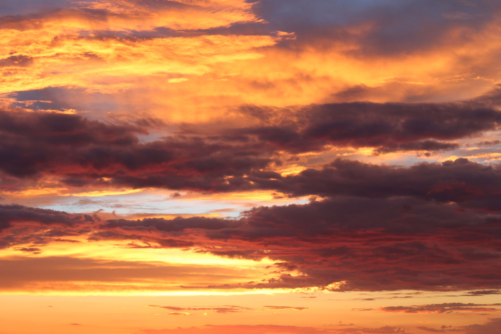 Canon EOS 650D (EOS Rebel T4i / EOS Kiss X6i) sample photo. Colors, evening, sky, orange photography