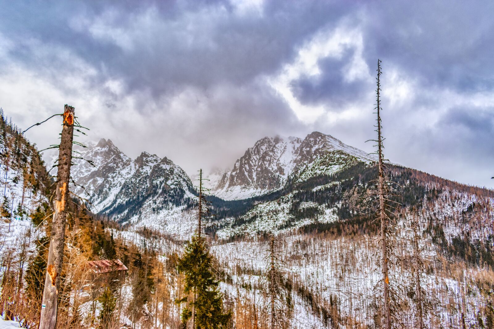 Nikon D5600 sample photo. Lomnicky stit, lomnicky peak photography