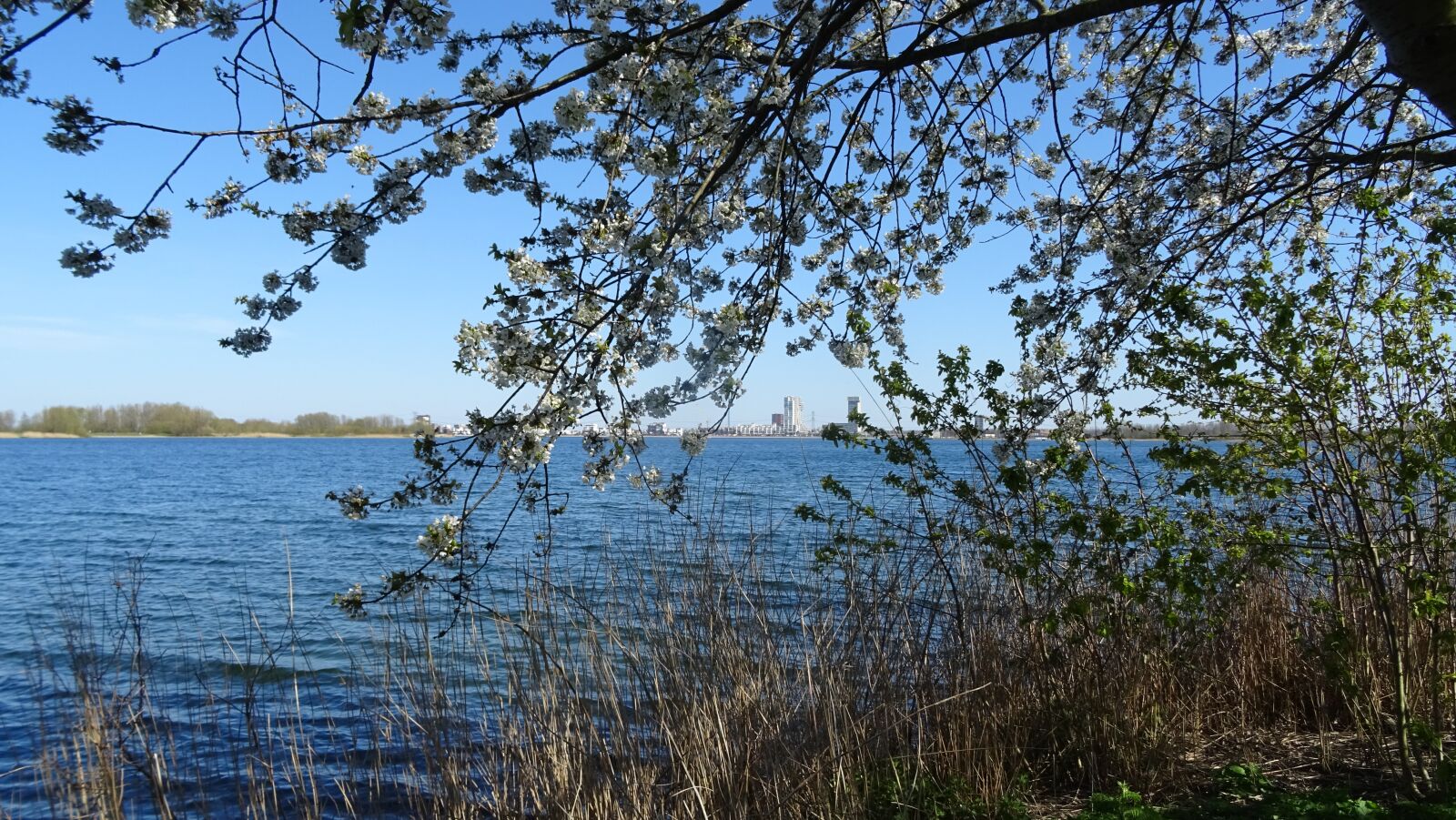 Sony DSC-HX60 sample photo. View, lake, landscape photography