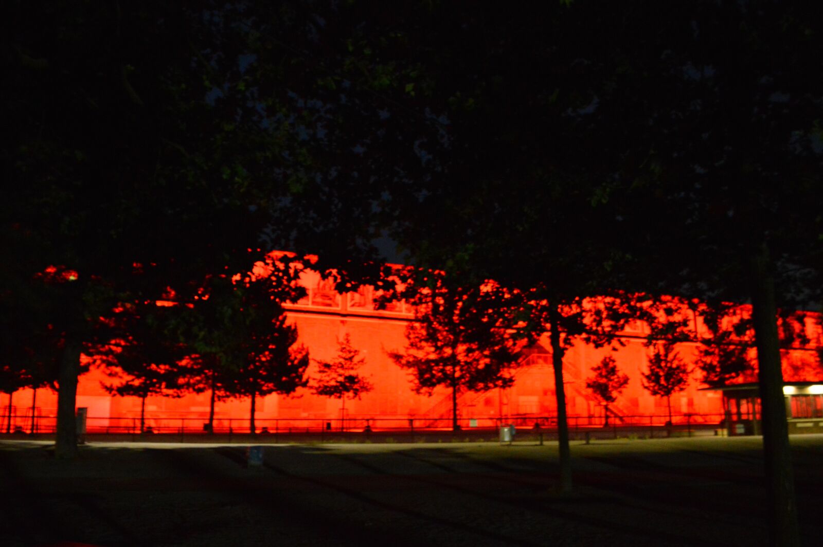 Nikon D3200 sample photo. Tree, memorial, red photography