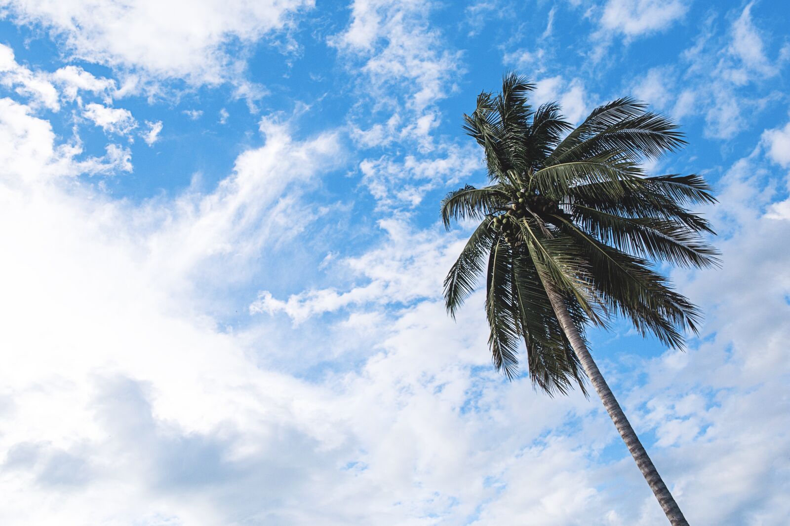 Canon EOS 6D sample photo. Clouds, hd wallpaper, nature photography
